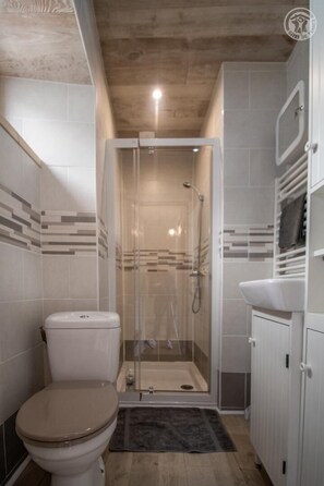Hair dryer, towels - LA P'tite Pierrue - Arvillard (ARVILLARD)