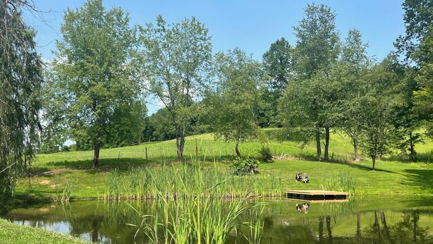 A serene pond surrounded by lush greenery and trees. - Cozy home in a peaceful country setting with stocked pond. Relax and unwind. (Bridgeport)