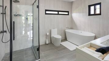 Shower, hair dryer, towels, soap