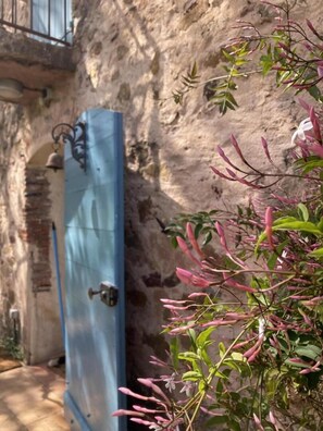 Property grounds - Le Platane - Cuers - Gîte (CUERS)