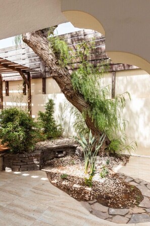 Terrein van de accommodatie