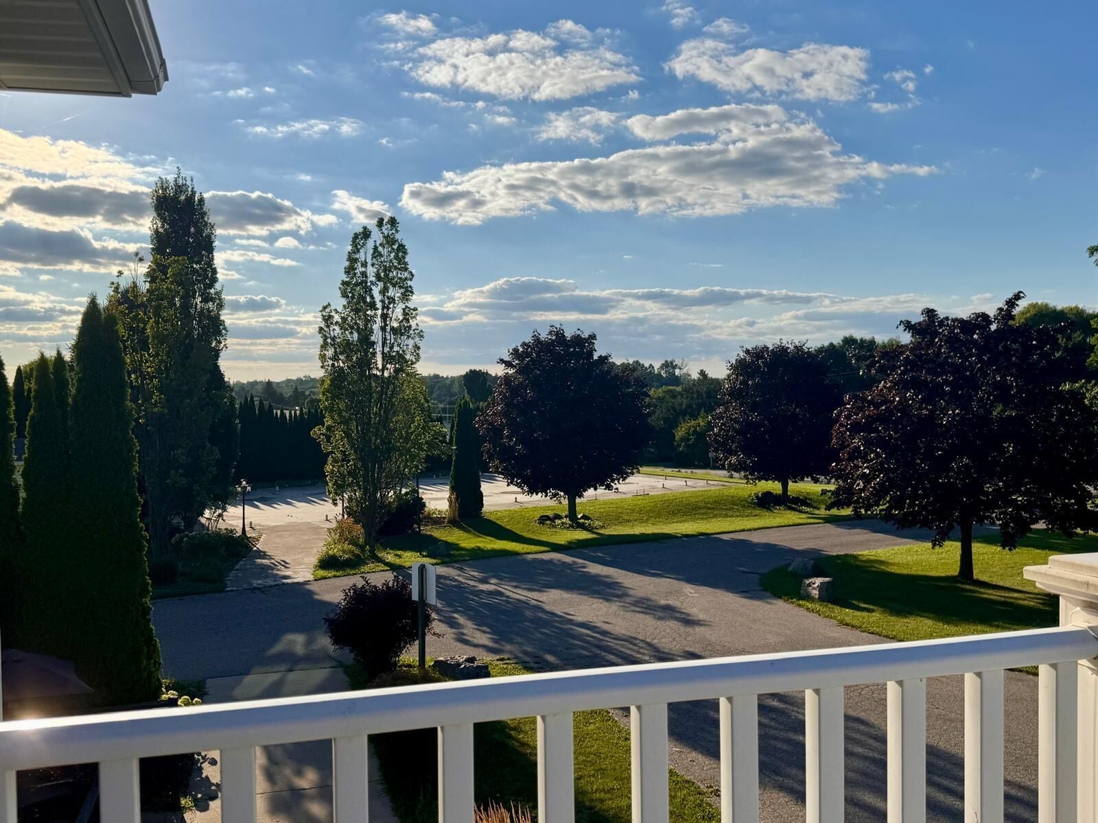 A residential driveway with a white fence, a mailbox, and a variety of trees including tall conifers and a large deciduous tree.