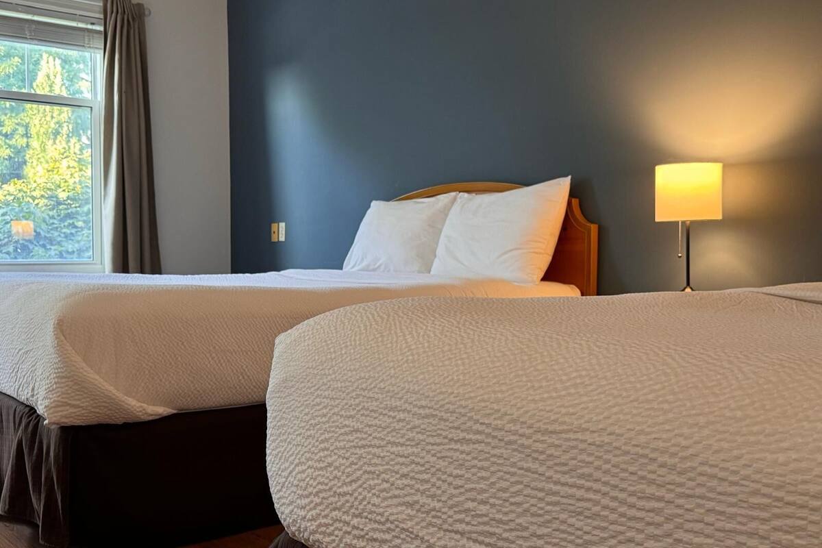 Habitación de hotel con dos camas, una ventana con cortinas, una lámpara de noche y vistas a árboles.
