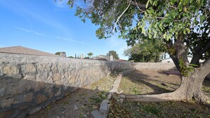Un muro de piedra con un árbol en primer plano.