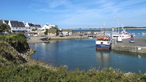 Un puerto deportivo costero con barcos amarrados, un muelle y edificios al fondo.