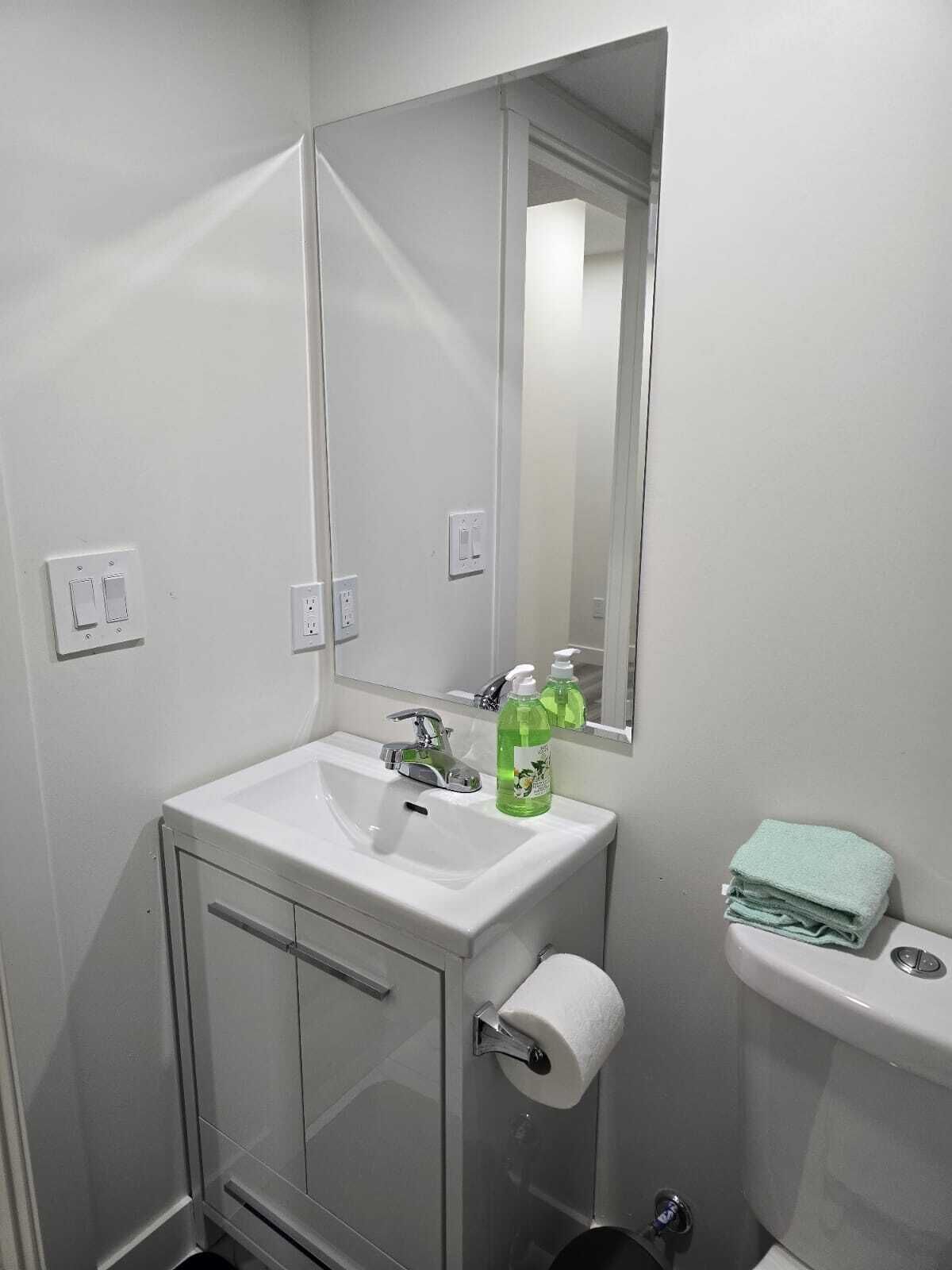 Une salle de bain avec un lavabo blanc, un miroir, des toilettes et un espace douche.