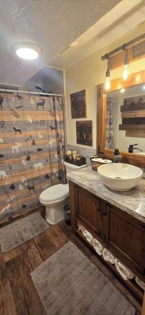 Hair dryer, towels, soap, shampoo