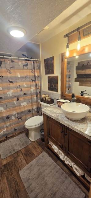 Hair dryer, towels, soap, shampoo