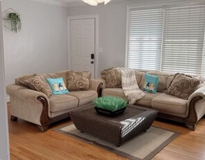 Smart TV, chimenea y libros 