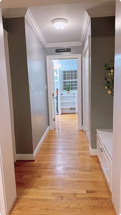 Beautiful and convenient house