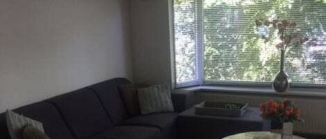 Télévision, livres