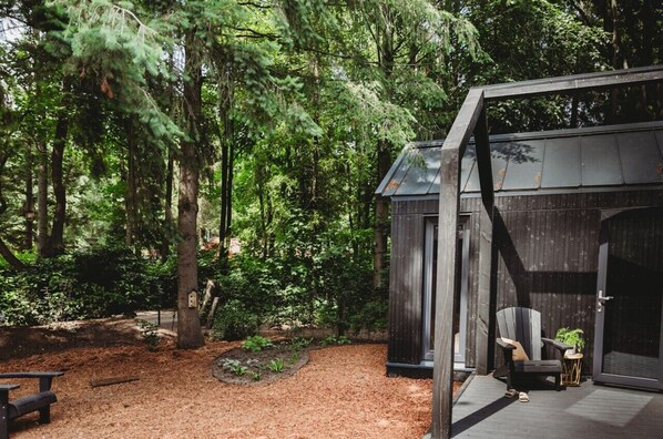 テラス / パティオ