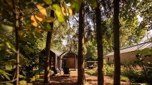 A rustic cabin with a wooden exterior, surrounded by tall trees and a forested area. - Hytte, which is Norwegian for cabin or (wooden) house in nature. (Epe)