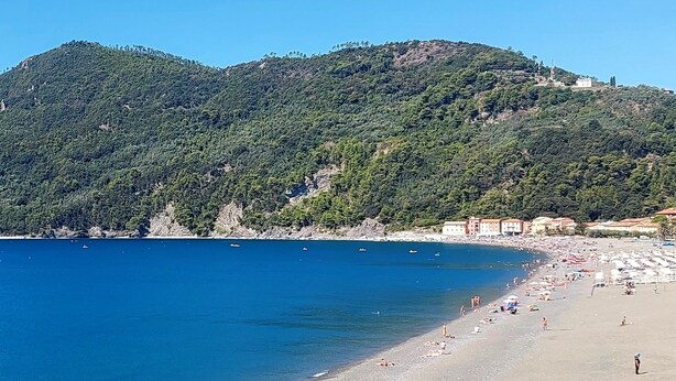 Une plage à l’eau d’un bleu limpide, bordée d’un rivage sablonneux, avec une colline boisée en arrière-plan.