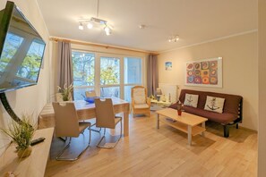 TV, tavolo da ping pong, impianto stereo