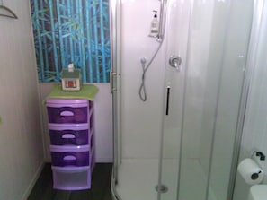 Regadera, toallas, jabón, papel de baño