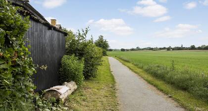3 bedroom awesome home in Tranekær