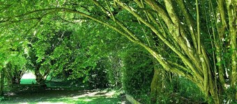 Escape to Enchanting Normandy: A 16th-Century Charmer Awaits in the Pays d'Auge