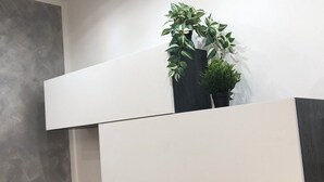 A modern interior with a minimalist design, featuring a white and dark wood floating shelf with two potted plants. - Canova Accogliente Casa Vacanze - Affari (Milano)