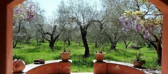 Oliveto Lake Bolsena Comfortable holiday residence