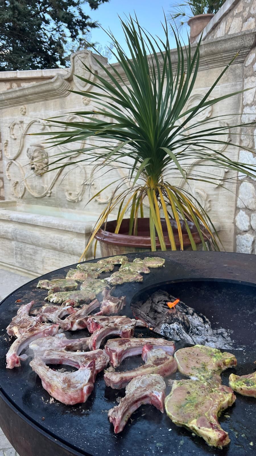 A grill with raw meat, a potted plant, and a stone wall.
