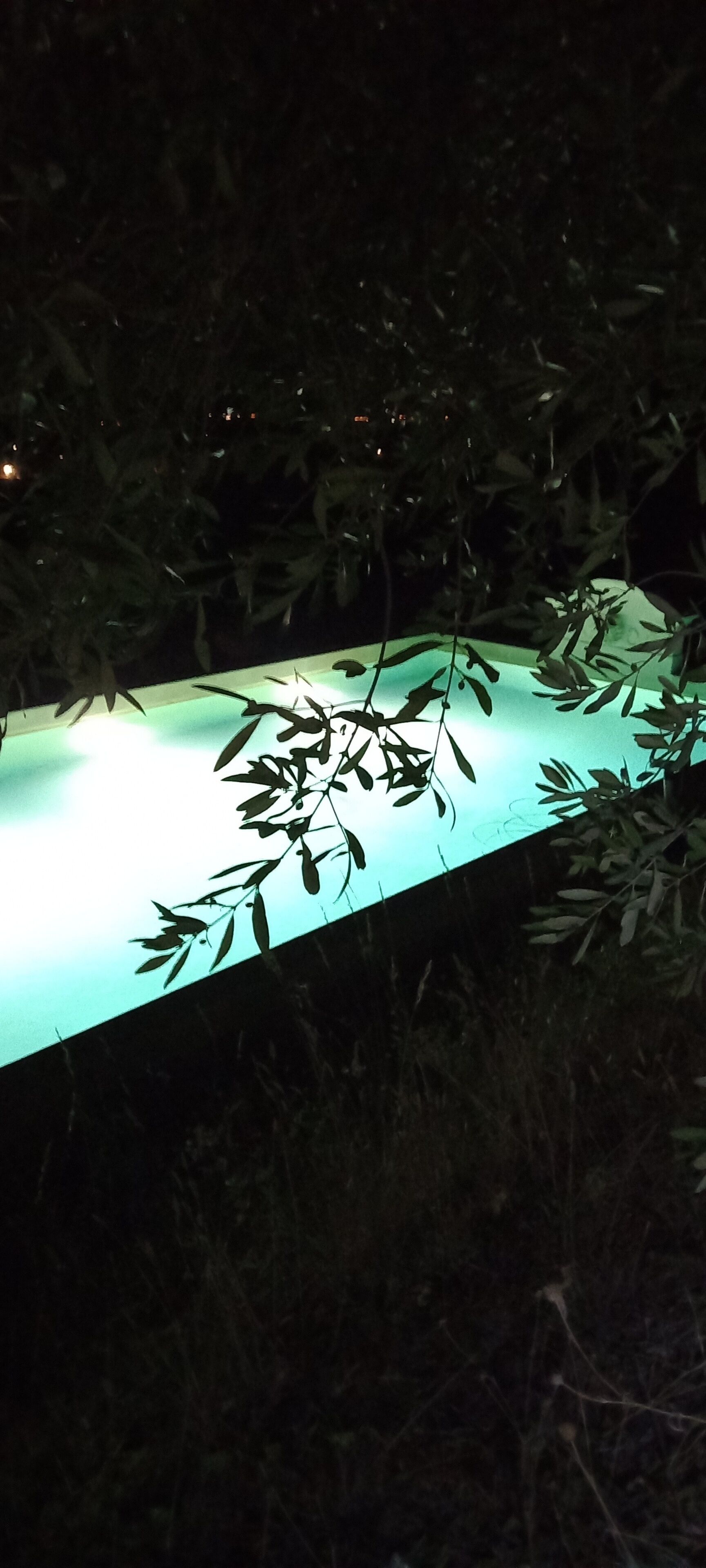 A nighttime view of a water feature with illuminated edges, surrounded by dense foliage.