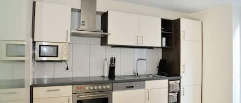 Fridge, microwave, stovetop, dishwasher