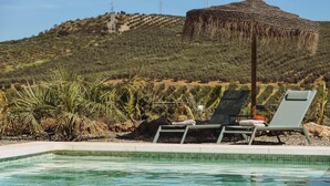 A pool with lounge chairs and a straw umbrella, surrounded by greenery and a hilly landscape. - Finca Viva la Vida (Álora)