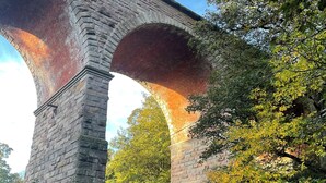 Uklassifisert bilde, 5 av 83, knapp