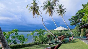 Um jardim tropical com palmeiras, piscina e espreguiçadeiras com vista para um corpo de água.