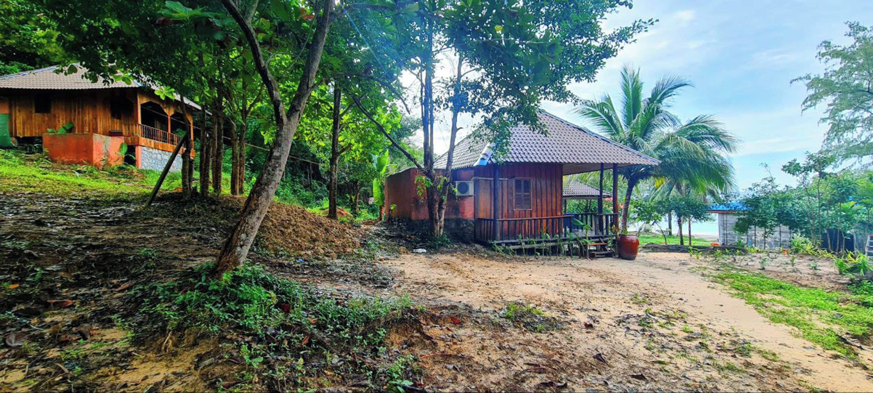 A rustic wooden house with a thatched roof, surrounded by lush greenery and palm trees.