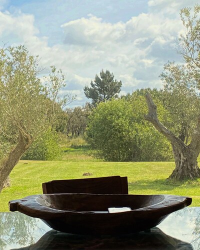 Lisbon country house 