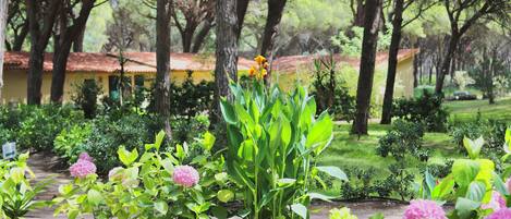 A garden with various plants and flowers, a pathway, and a building with a red roof in the background.