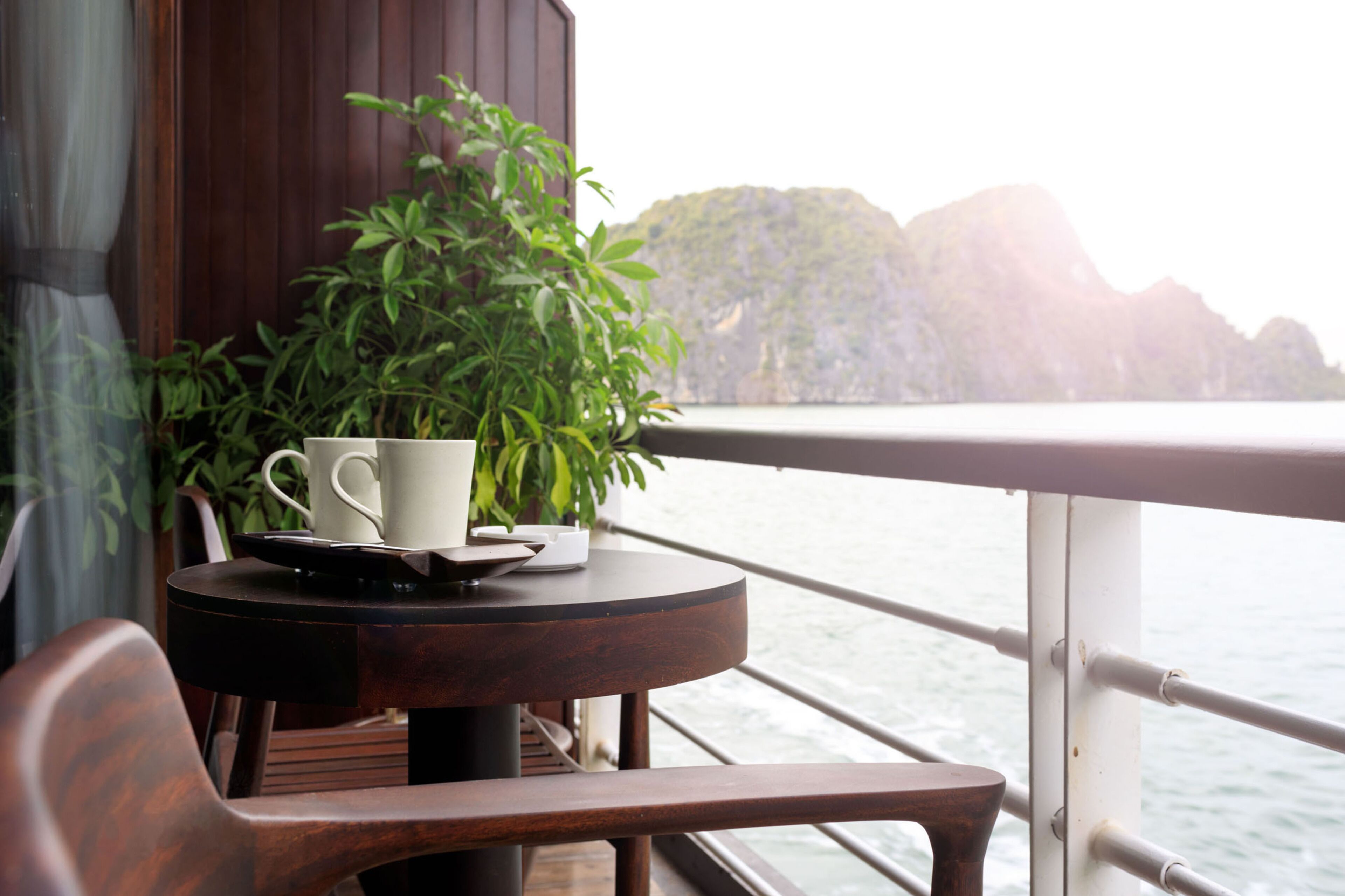 A table with a cup and saucer, a plant, and a view of the sea and mountains.