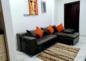 45-吋電漿電視、有線頻道、Netflix、串流服務