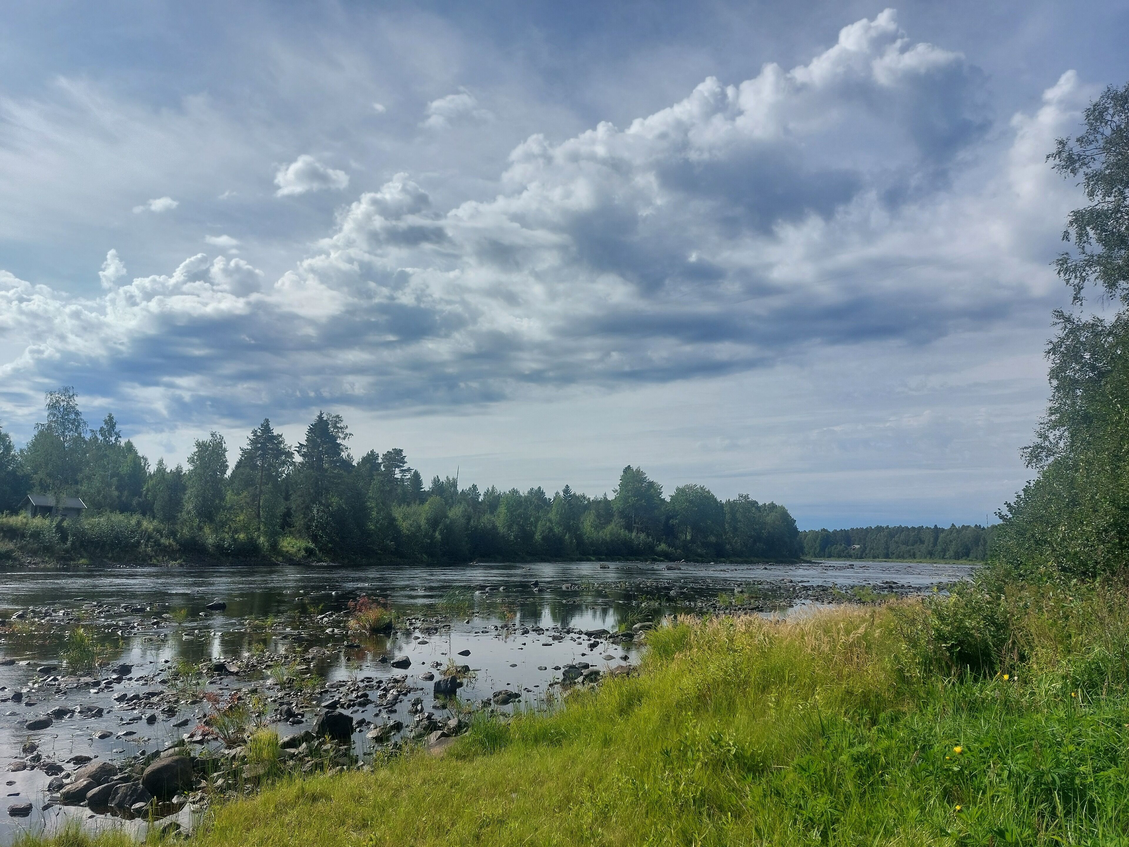 A river with rocks and greenery along the banks.