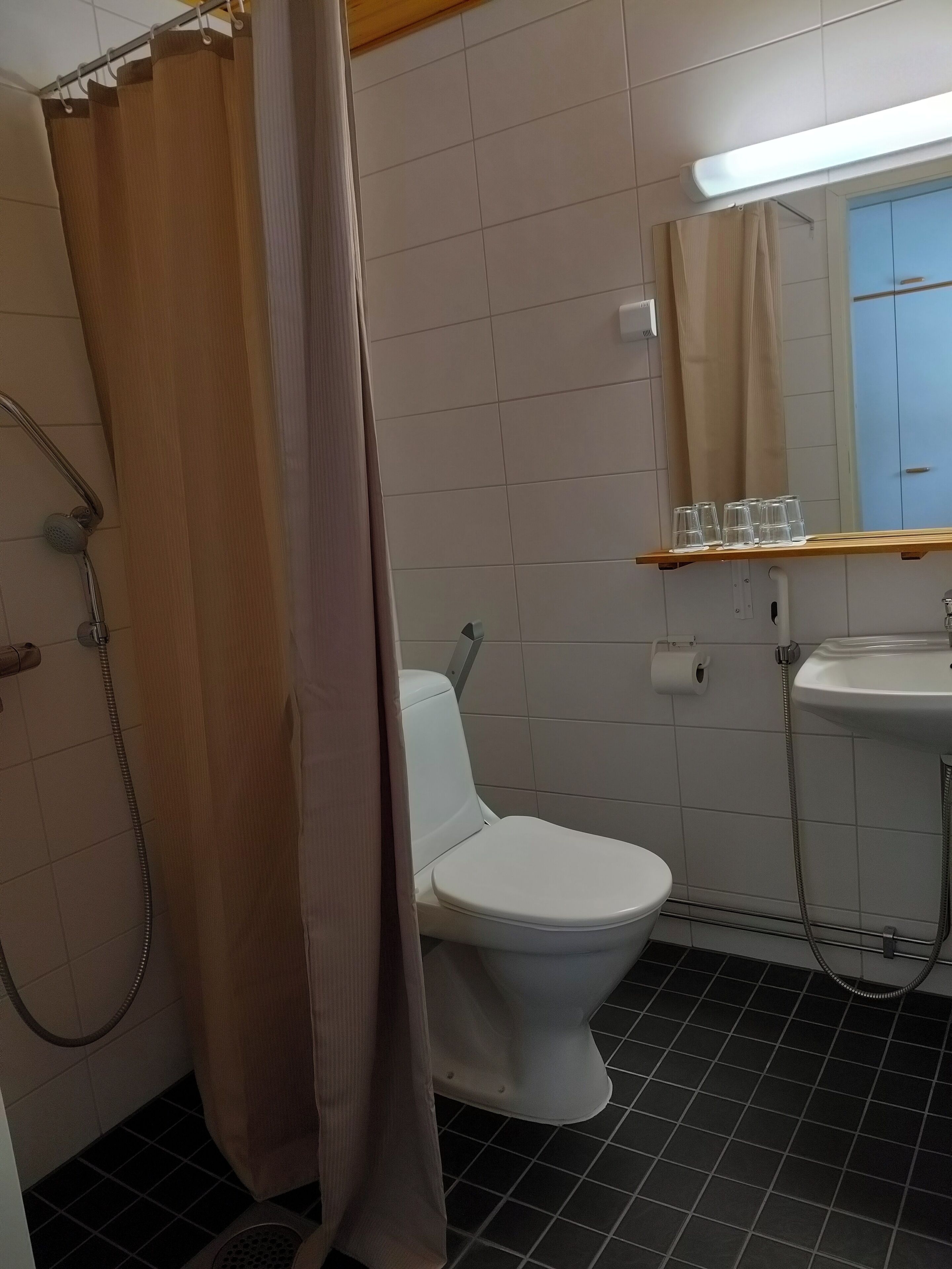 Un baño con ducha, inodoro, lavamanos y espejo.