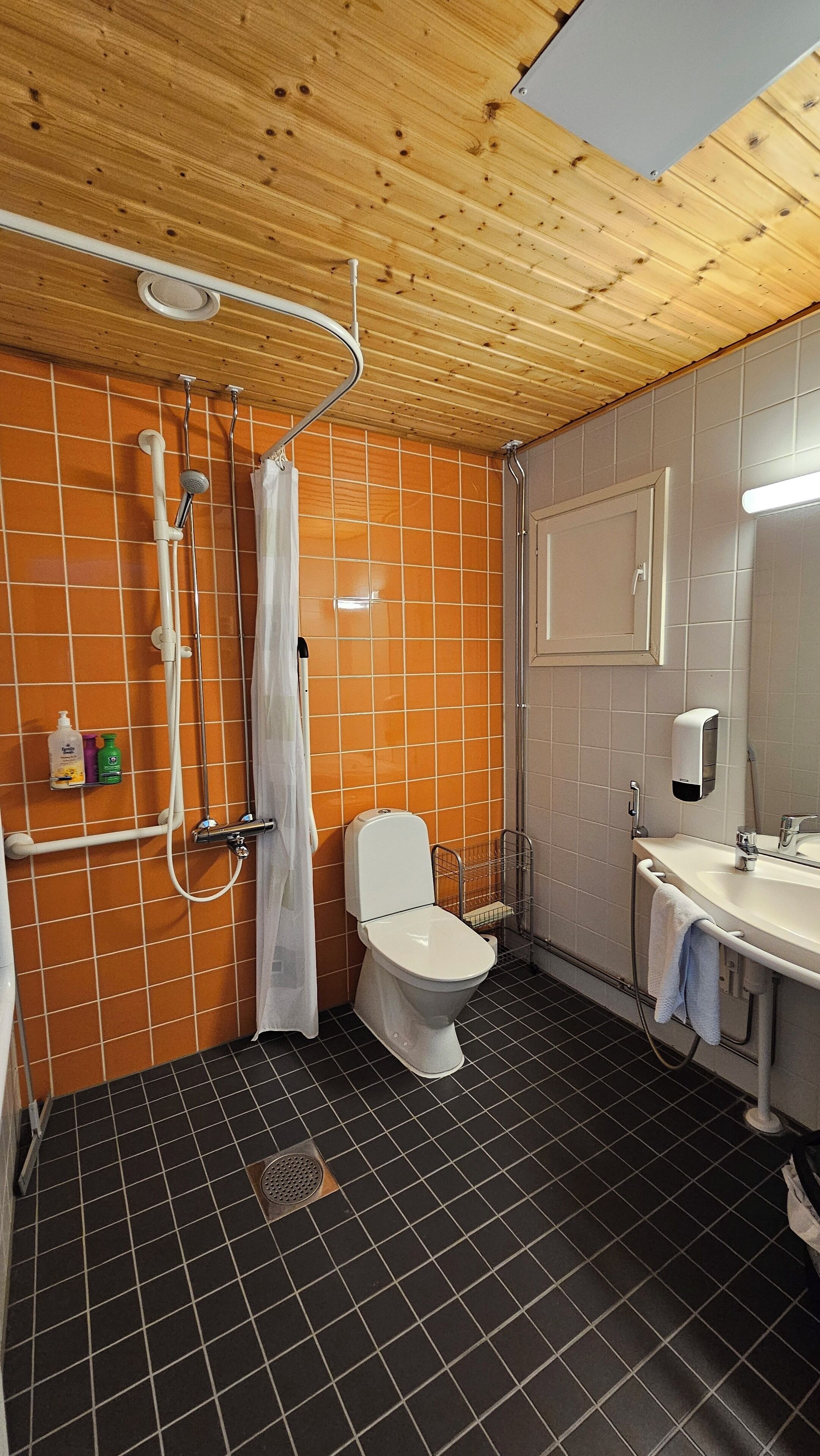 Baño con ducha, inodoro y lavamanos.
