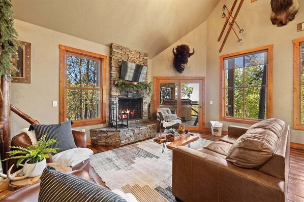 TV, fireplace, video games