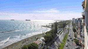 Un paisaje urbano costero con playa, muelle y una avenida arbolada y con edificios.