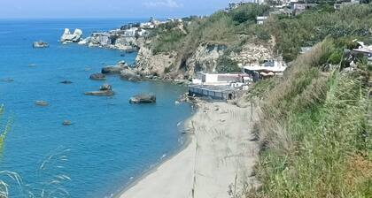 1 Bedroom Bed & breakfast in Forio