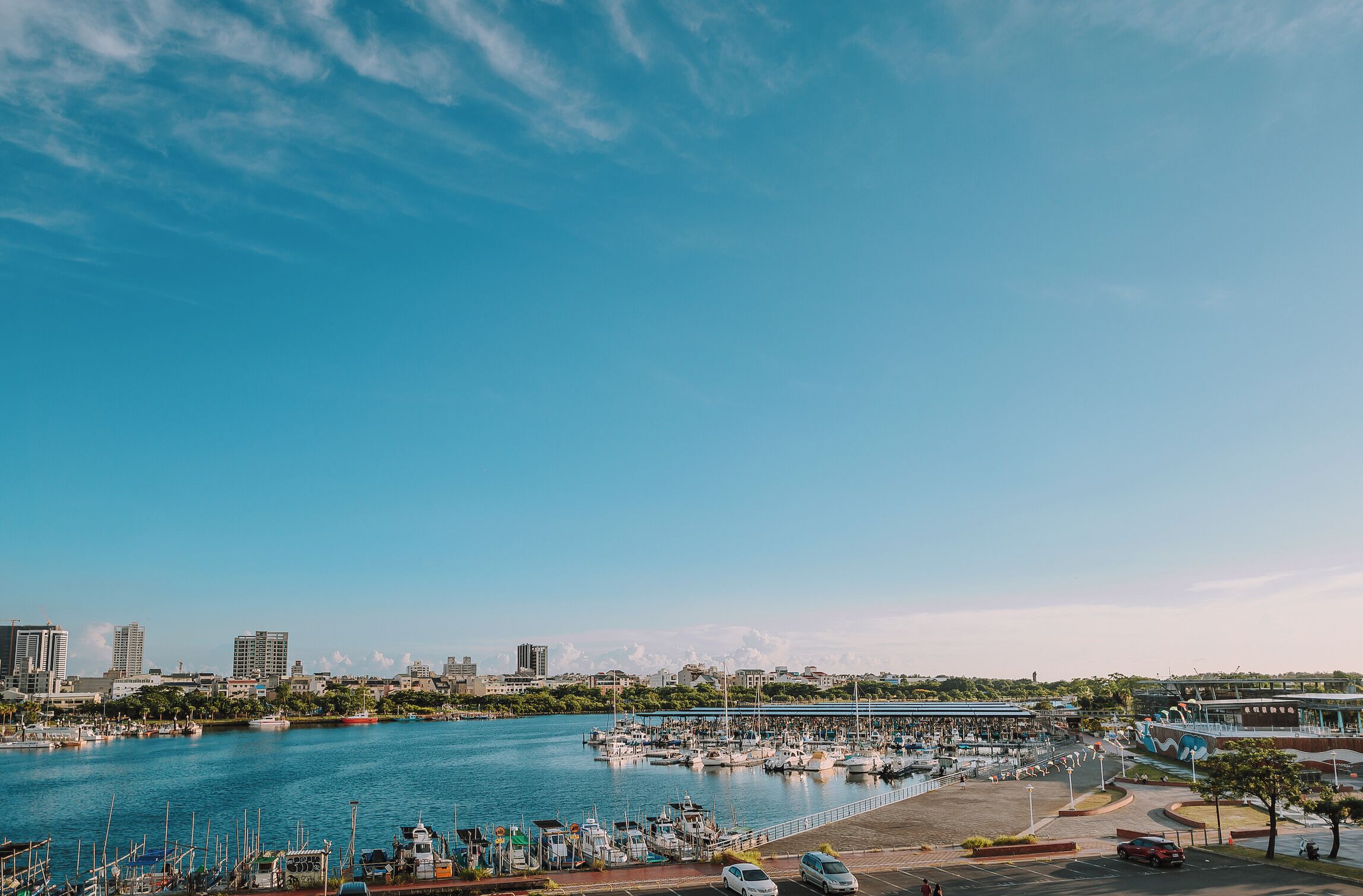 A marina with boats docked, a city skyline in the background, and a clear blue sky.