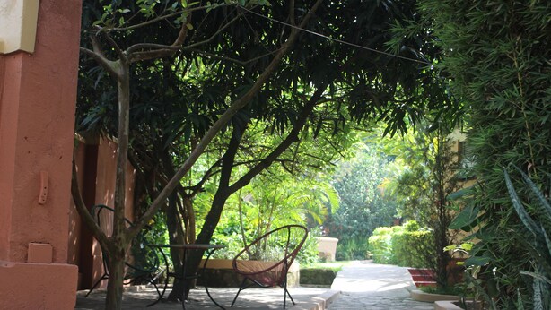 A pathway lined with trees and a bench, leading to a building with a red exterior. - Montane Safaris Hotel (Fort Portal)