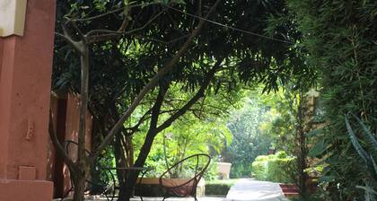 Montane Safaris Hotel