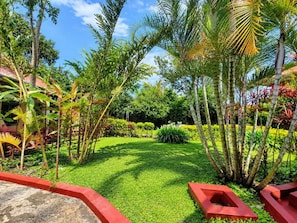 A well-maintained garden with a variety of tropical plants and a neatly trimmed lawn. - Montane Safaris Hotel (Fort Portal)