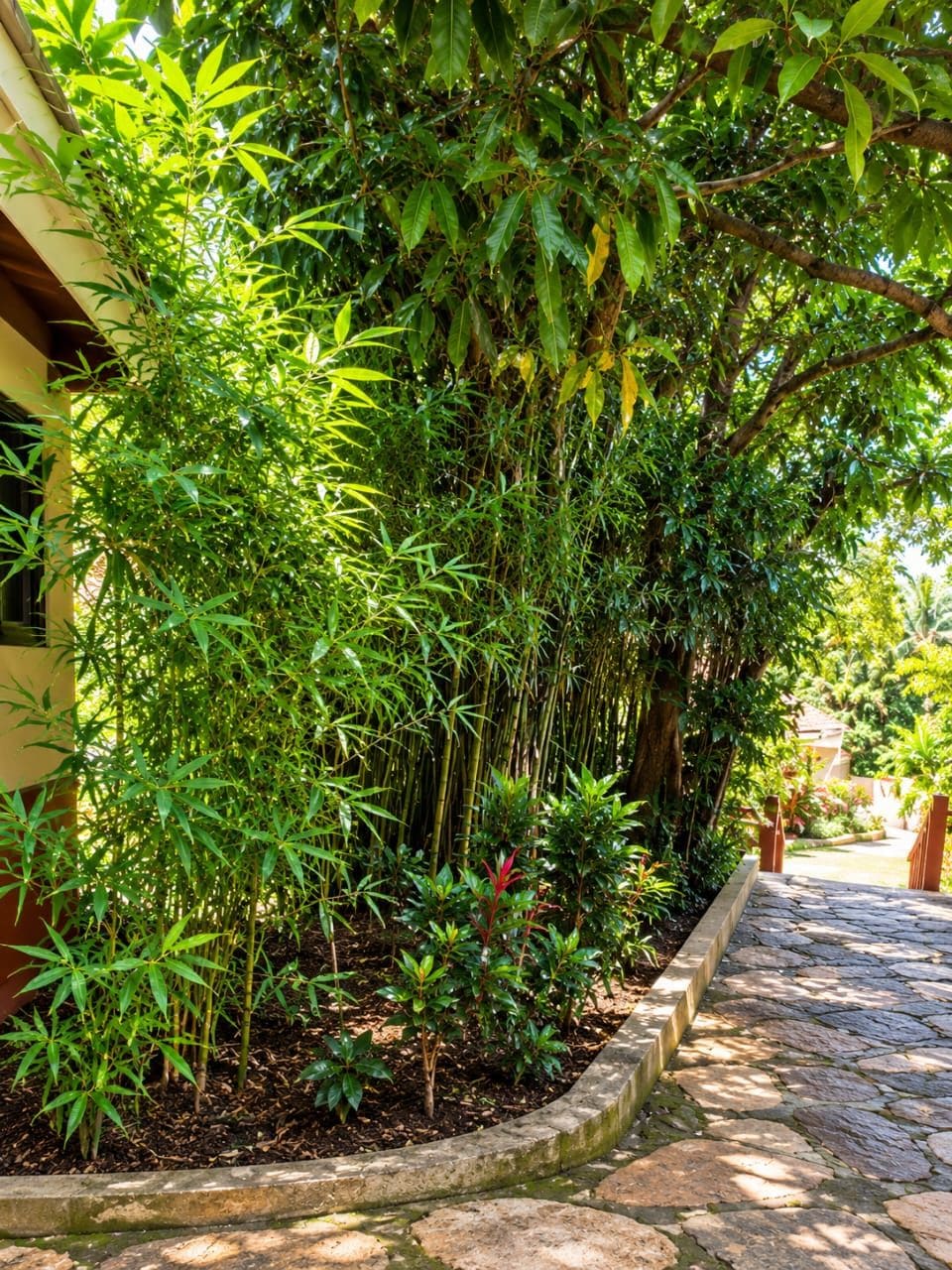 Garden view