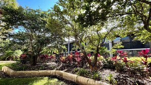 Ein angelegter Garten mit verschiedenen Pflanzen und Bäumen, einer geschwungenen Steinmauer und einem Gebäude im Hintergrund.