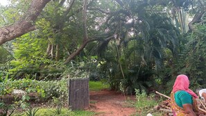 المنطقة المحيطة بالمنشأة