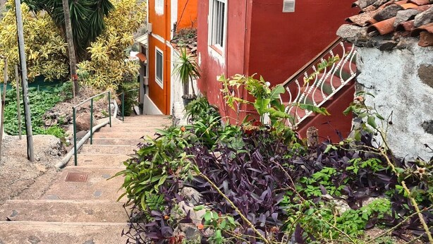 Property grounds - Casa Alicia Studio 2 in Hermigua, La Gomera (Las Casas)