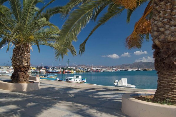A marina with boats docked, palm trees, and a clear blue sky.
